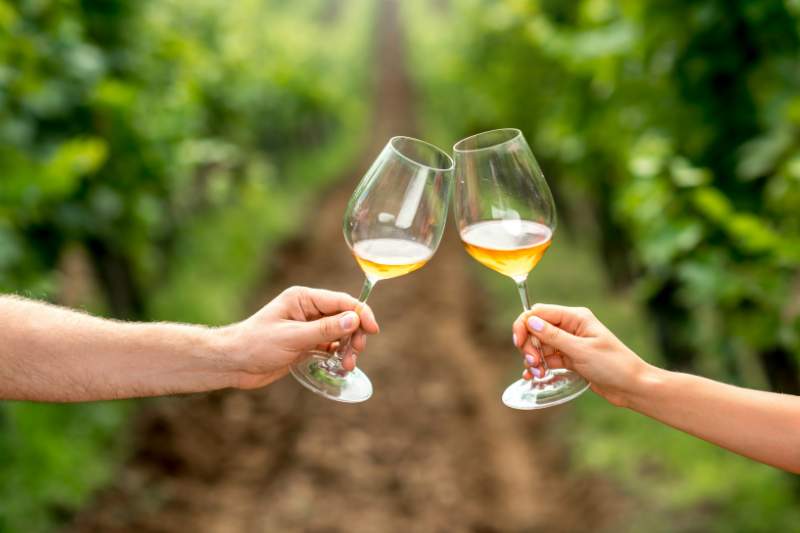 Charakterystyka kieliszków do białego wina